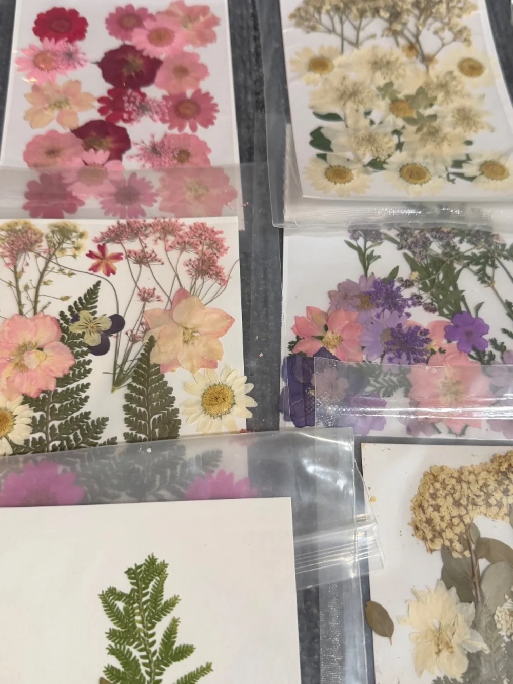 Dried Flowers for Crafts, Resin, Scrapbooking, and Decor.